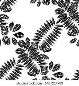 Exotic Leaves. Black and White Pattern Seamless