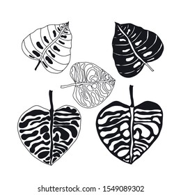 Exotic leaves black and white leaves vector set