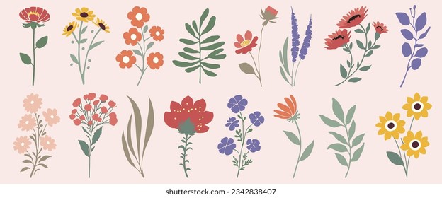 Exotic leaves, flowers and plants set