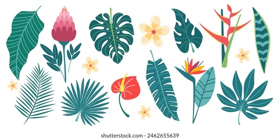 Exotische Blätter und Blumen in einfachem flachem Design. Tropische Pflanzen isoliert auf weißem Hintergrund. Vektorillustration.
