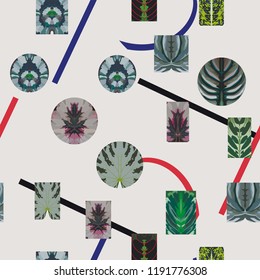 Exotic leaves in form of square and circle abstract background