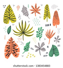 Exotic leaves hand drawn flat illustrations set. Jungle, rainforest foliage sketch cliparts collection. Palm, banana, monstera, aralia leaves. Houseplants cartoon drawings. Botanical design elements