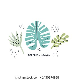 Exotic leaves hand drawn flat illustrations set. Tropical plants sketch cliparts collection. Monstera, palm, succulent green split leaves cartoon drawings. Botanical isolated vector design elements
