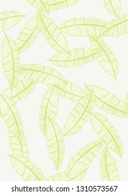 Exotic leaves on a green background. Tropical pattern with banana leaves.