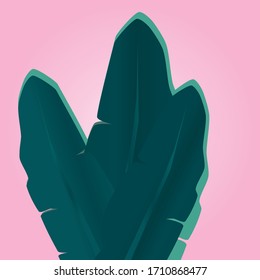 hojas exóticas con fondo rosa 