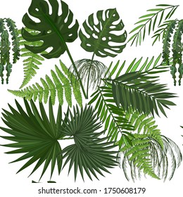 Exotic leaves seamless vector pattern. Leaves of exotic plants: monstera, hibiscus, palm leaves seamless pattern on white background for creating prints, textiles and others.