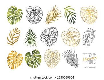 Hojas exóticas de color verde, dorado, brillo. Hojas tropicales de monstera y palmeras. Dibujo manual en líneas y relleno.