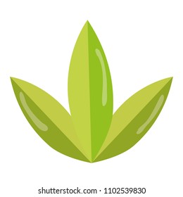 exotic leaves style botanic flora
