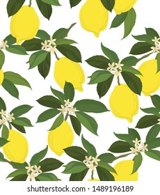 Exotic lemon seamless background. Summer vector pattern with floral pattern.