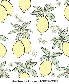 Exotic lemon seamless background. Summer vector pattern with floral pattern.