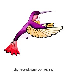 Un colibrí exótico en vuelo. Elementos de diseño para la decoración natural, jardín de verano. Colibri colorido al estilo acuarela. Pájaro de color para tarjetas de felicitación, invitaciones. Ilustración aislada del vector.