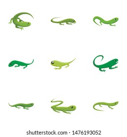 Exotic lizard icon set. Cartoon set of 9 exotic lizard vector icons for web design isolated on white background