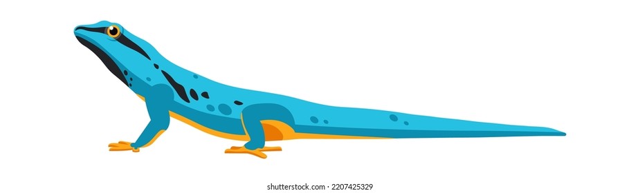 Exotic lizard Reptile Amphibian illustration