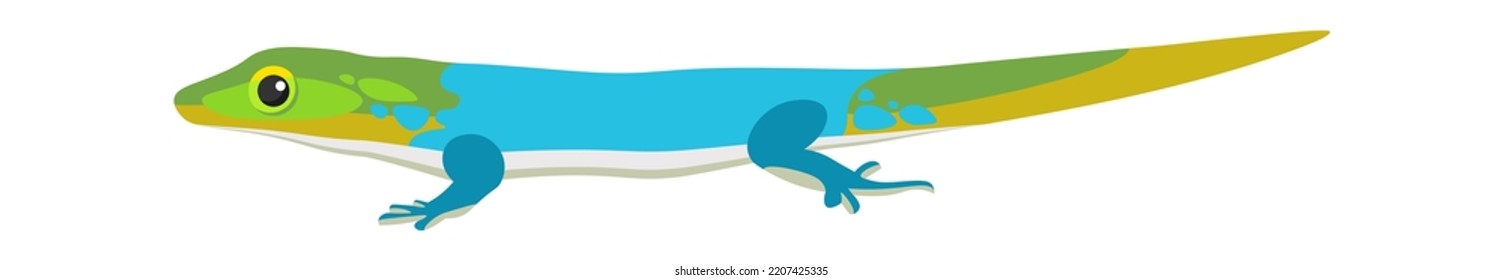 Exotic lizard Reptile Amphibian illustration