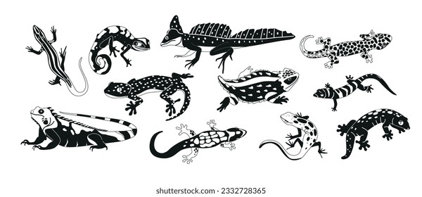 Exotic Lizards And Varans Black and White Icons Set. Captivating Reptiles Known For Their Agility, Intelligence