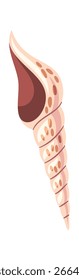 Exotic long spiral shell decoration