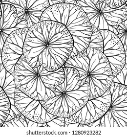 Exotic lotus leaves black and white vector seamless pattern