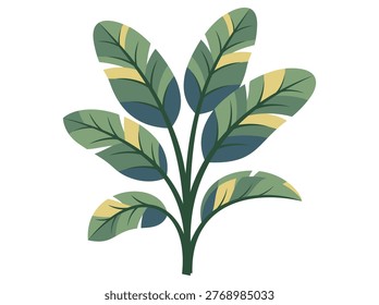 Exotic lush jungle foliage featuring colorful broad leaves cut out on a transparent background