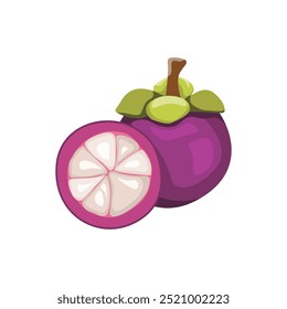 Exotic Mangosteen Fruit, Fresh Tropical Delight