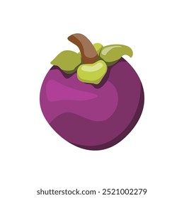 Exotic Mangosteen Fruit, Fresh Tropical Delight