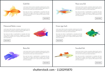 Exotic marine animals with shine fins and skins, isolated vector illustrations of gold betta, neon tetra and swordtail fishes, tiger barb and wrasse