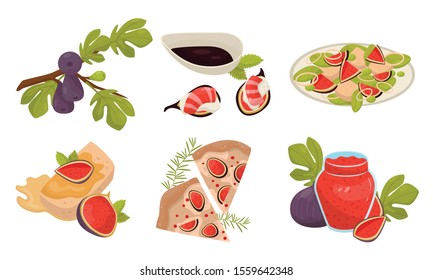 Exotic And Mediterranean Fig Dishes And Jam Vector Illustration Set Isolated On White Background
