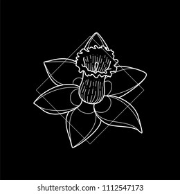 Exotic and modern hawaiian flower icon. Vector illustration in black background. Digital art. Icon set. Simple line work. Nature sketch. Botanical collection.