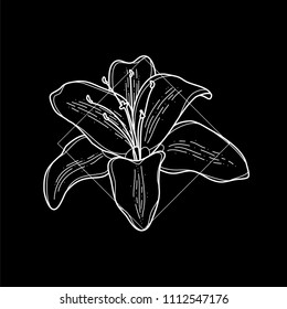 Exotic and modern hawaiian flower icon. Vector illustration in black background. Digital art. Icon set. Simple line work. Nature sketch. Botanical collection.