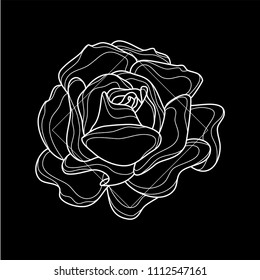 Exotic and modern rose flower icon. Vector illustration in black background. Digital art. Icon set. Simple line work. Nature sketch. Botanical collection.