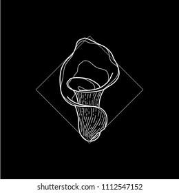 Exotic and modern tulip flower icon. Vector illustration in black background. Digital art. Icon set. Simple line work. Nature sketch. Botanical collection.