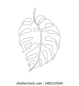 Exotic monstera continuous one line drawing summer tropical leaf hand drawn on white background minimalist design