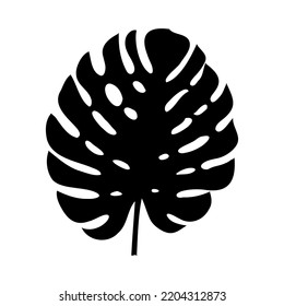 Exotic monstera. Continuous one-line drawing. Handmade summer tropical leaf on white background. Minimalist design. Maranta leaf.