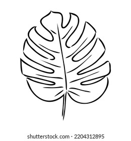 Exotic monstera. Continuous one-line drawing. Handmade summer tropical leaf on white background. Minimalist design. Maranta leaf.