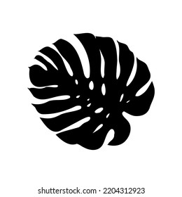 Exotic monstera. Continuous one-line drawing. Handmade summer tropical leaf on white background. Minimalist design. Maranta leaf.