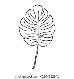 Exotische Monstera. Kontinuierliche Einzeilenzeichnung. Handgefertigte tropische Sommerblätter auf weißem Hintergrund. Minimalistisches Design. Maranta-Blatt.