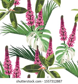 Exotic monstera, ficus and palms leaves. Pink lupines flower branch seamless pattern. White background.