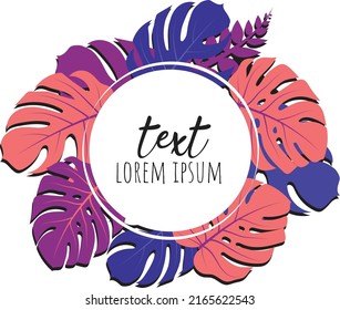 exotic monstera leaves foliage Wreath banner header vector