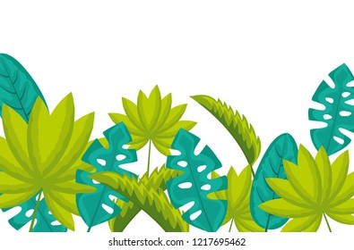 exotic monstera palm leaves tropical