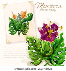 Exotic monstera plant opulent green leaves with hibiscus flower tropical beauty pictograms collection design abstract vector illustration