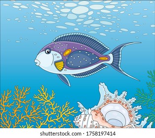 Exotic multi colored parrotfish swimming over a quaint shell among thick branches of colorful corals in blue water of an amazing tropical reef in a warm southern sea, vector cartoon illustration