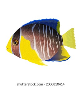 Exotic multicolored fish One tropical fish in cartoon style isolated colorful vector illustration.
