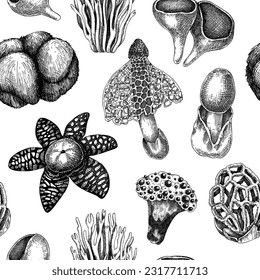 Exotic mushroom background. Hand-drawn fungi illustration in vintage style. Exotic forest plants seamless pattern. Weird mushroom sketches, texture design, packaging, fabric.