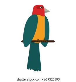 Exotic natural bird