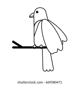 Exotic natural bird