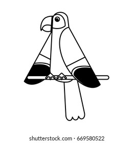 Exotic natural bird