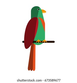 Exotic natural bird