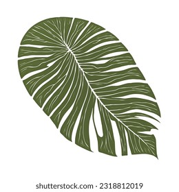 Arte de vectores de hoja natural exótico