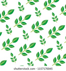 exotic nice plant leaves background