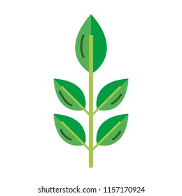 exotic nice plant leaves style