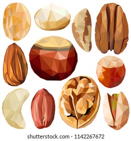 Exotic nut set colorful low poly designs isolated on white background. Vector edible food illustration. Collection of nut plants in modern style. Organic raw wild fruits. 